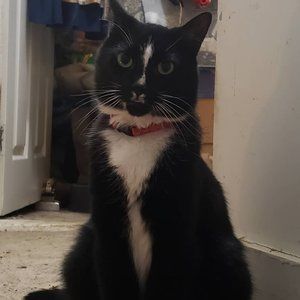 Meet your Posher, Doug